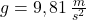 g=9,81\,\frac {m}{s^{2}}